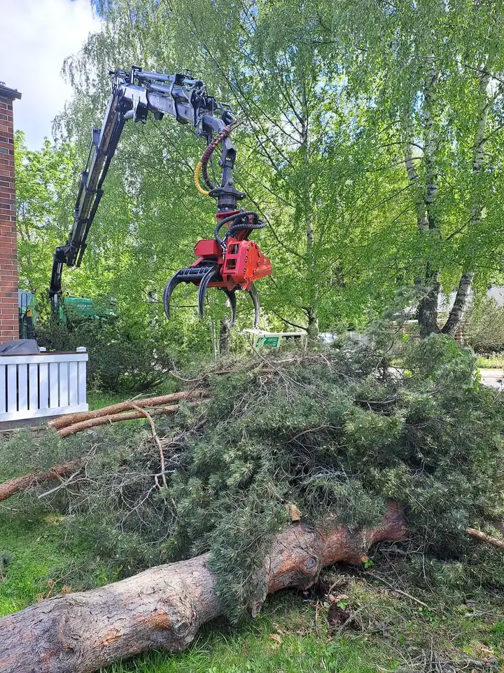 Oksien poiskuljetus